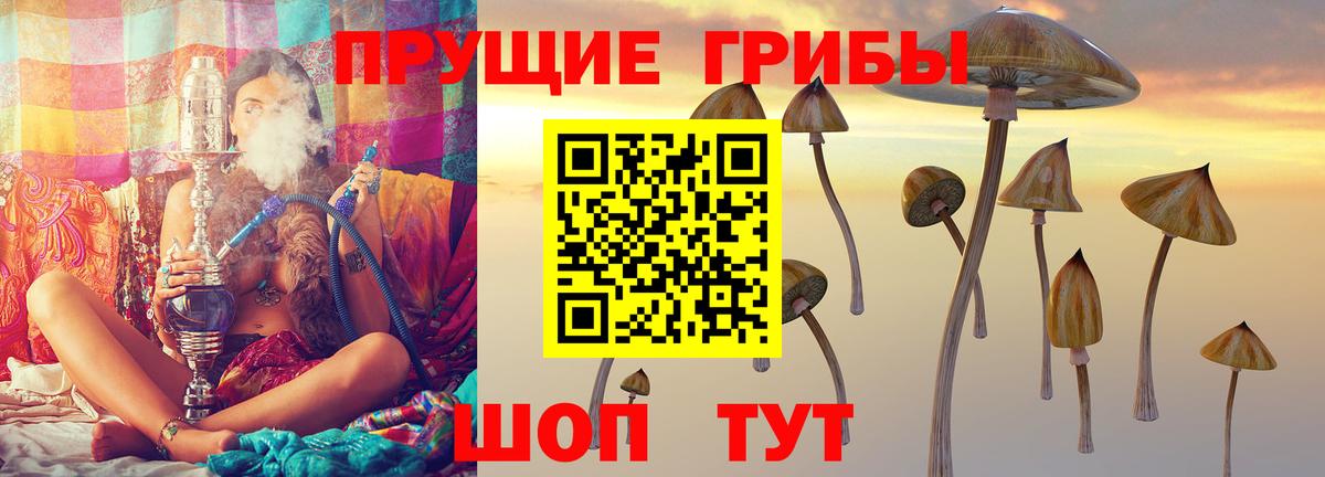 Прокопьевск  Псилоцибиновые грибы GOLDEN TEACHER  Вход с VPN  Галлюциногенные грибы MAGIC MUSHROOMS 